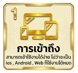 การเข้าถึง